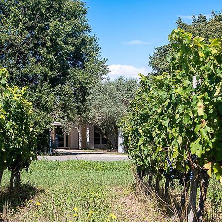 Bed and Breakfast Au détour des vignes Ordonnac Esterno foto