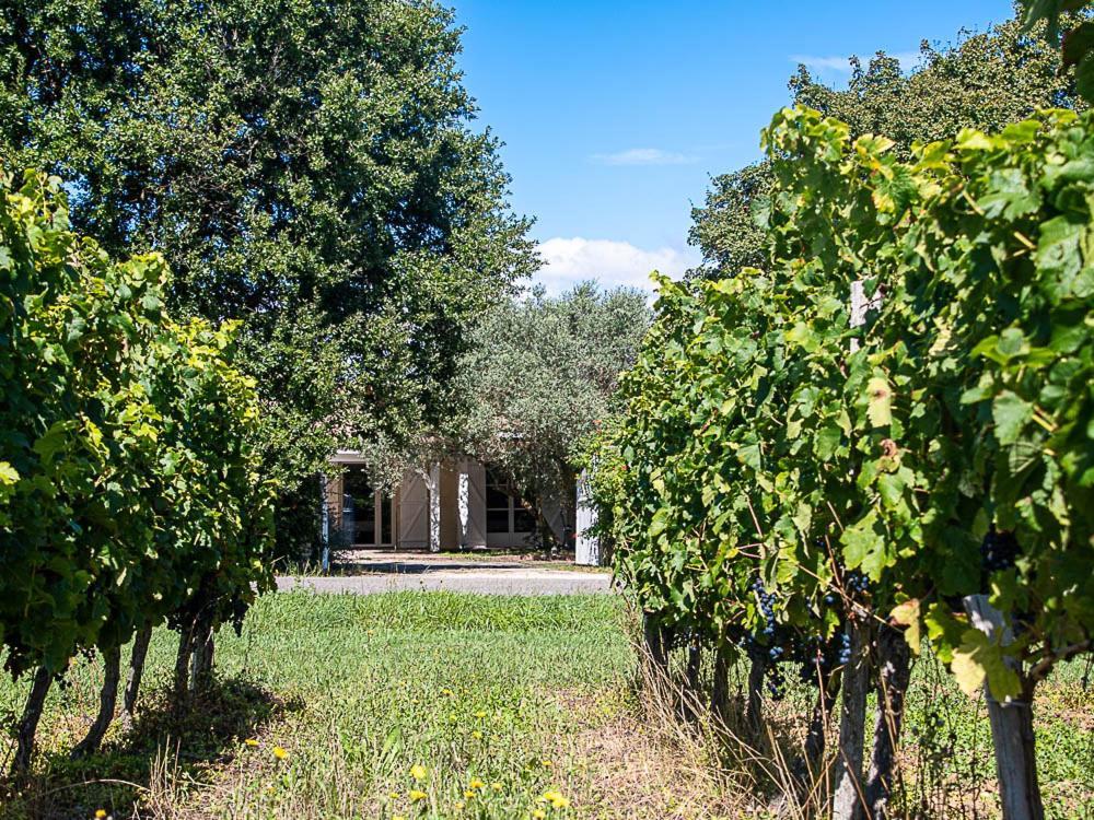 Bed and Breakfast Au détour des vignes Ordonnac Esterno foto